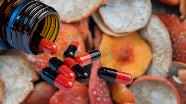 Мухоморный микродозинг: мифы и реальность